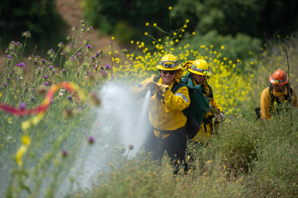 La Habra Heights Volunteer Fire Department at Ashley Leake blog