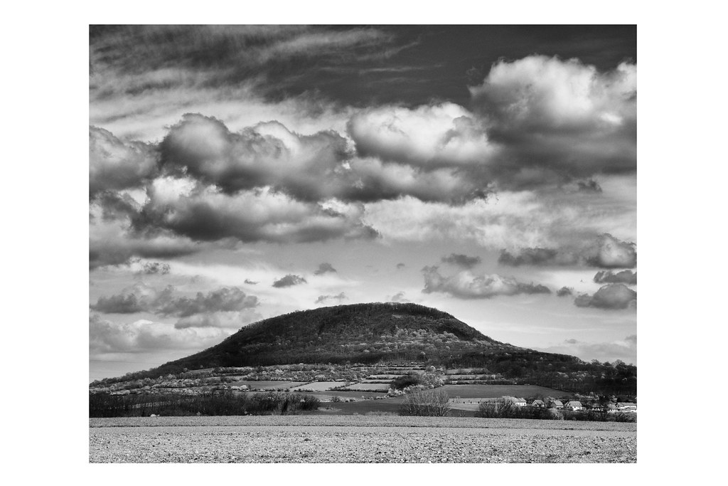 History will teach us Nothing. Starej Grafik Flickr