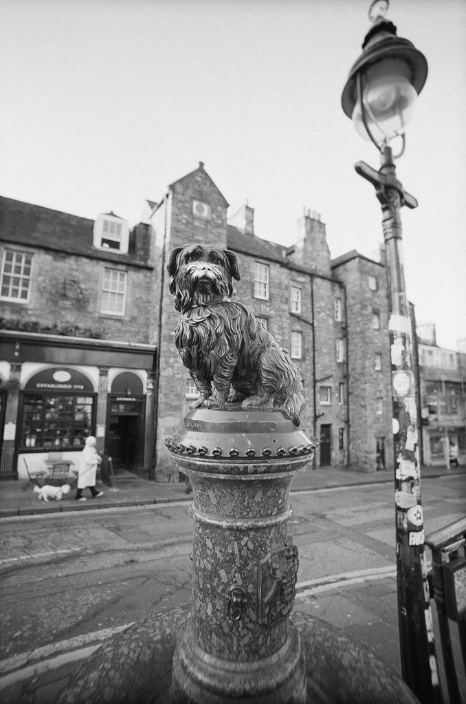 Bobby Lomography LCA wide with Ilford XP2. C41 Processed… Flickr