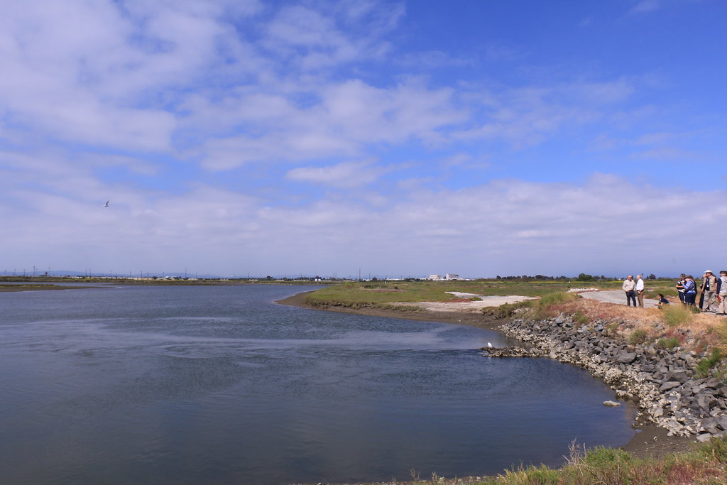 Secretary of Interior visit to Seal Beach NWR for Endanger… Flickr