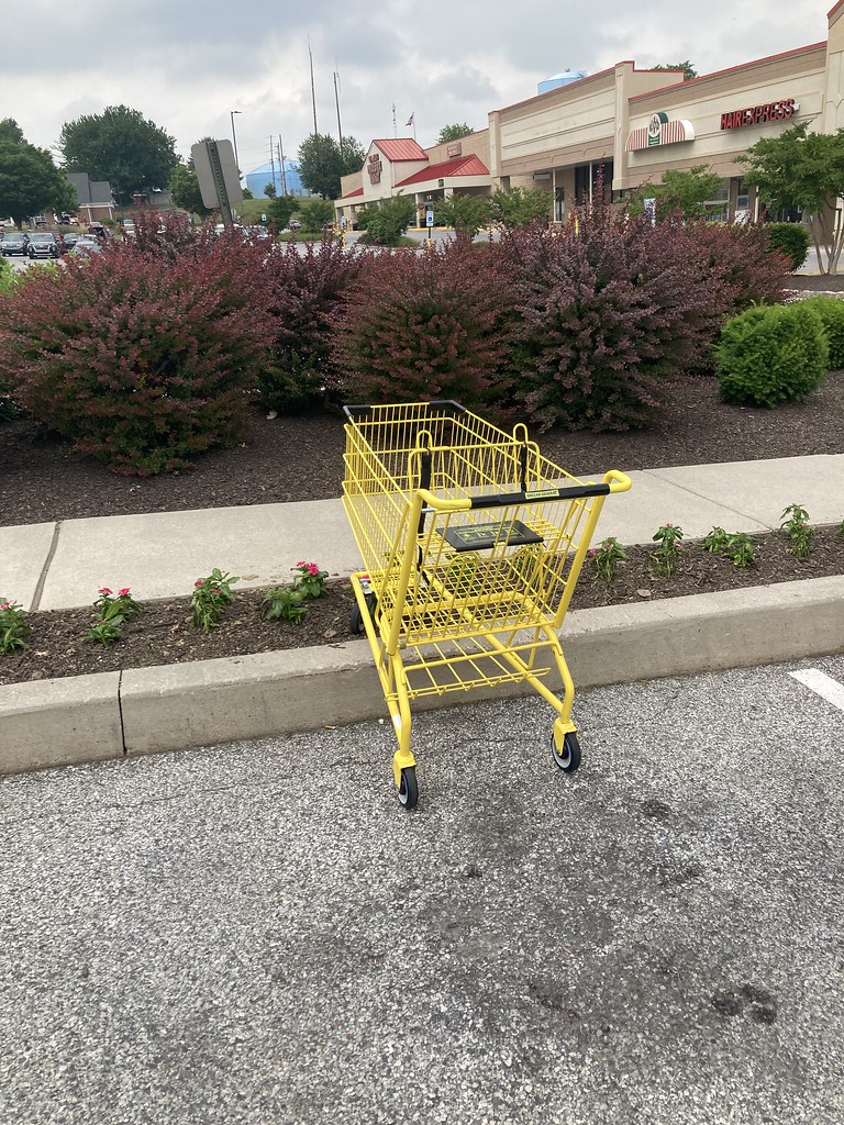 Dollar General Oxford PA Shopping Cart nateb1478 Flickr