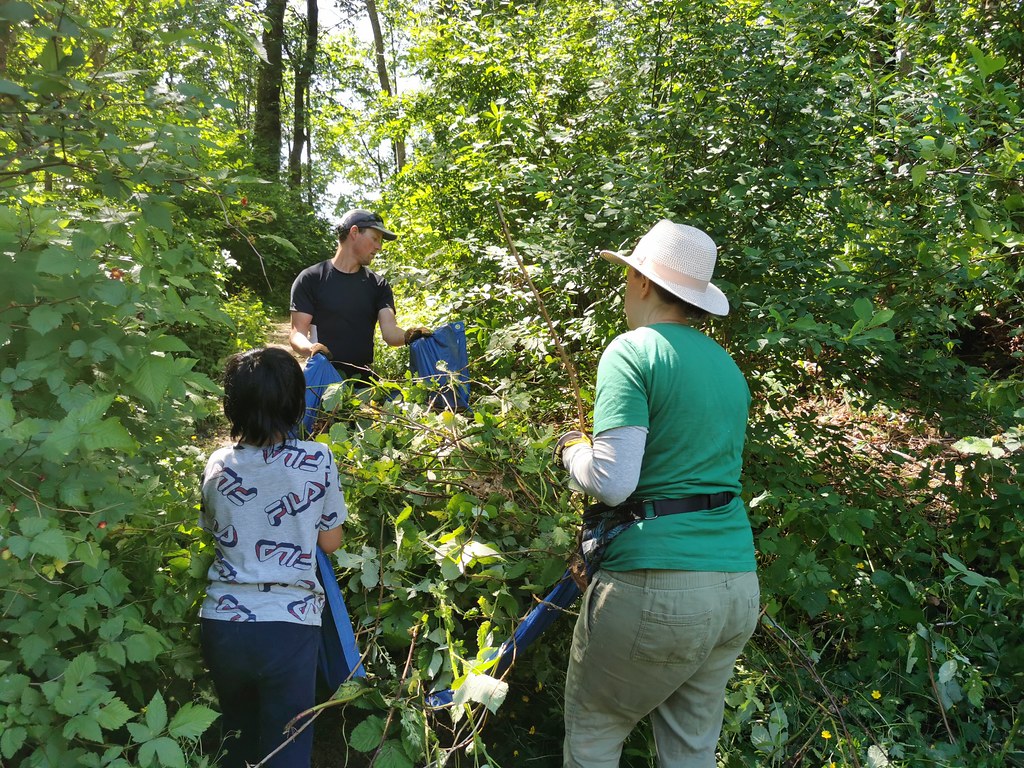 Environment Week Invasive Plant Removal at Cariboo Heights Forest
