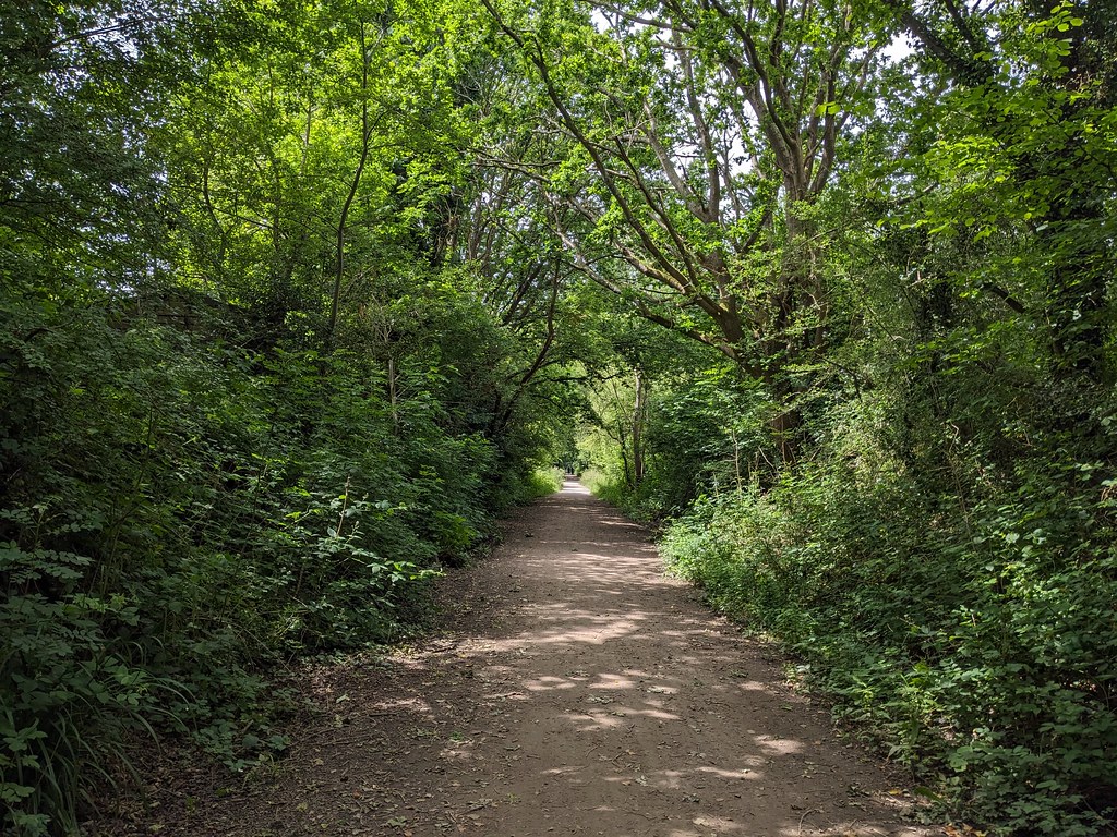Forest Way path between Hartfield & Forest Row (33) Flickr