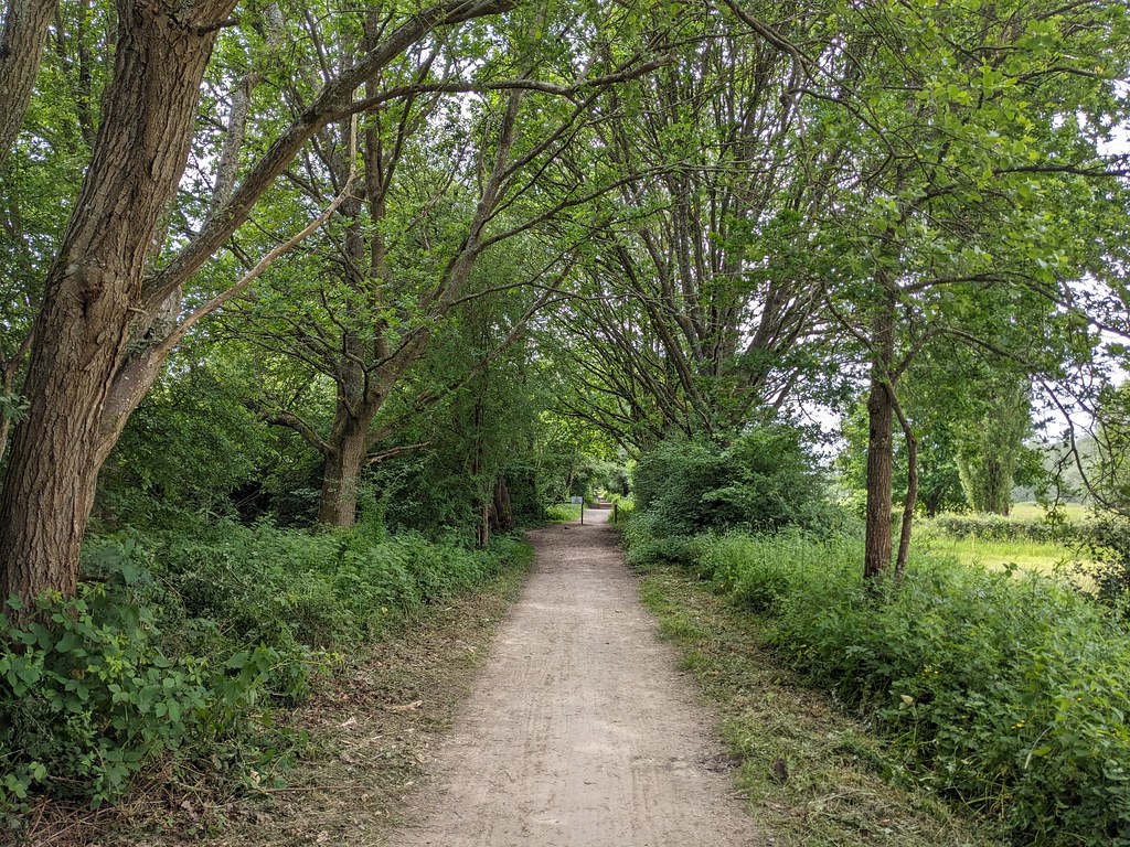 Forest Way path between Hartfield & Forest Row (17) Flickr