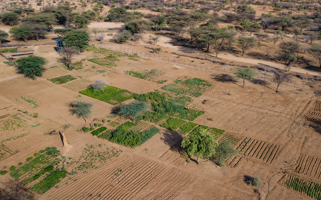 UNCCDTurkanaKangirega39 Farms surrounded by arid lands … Flickr