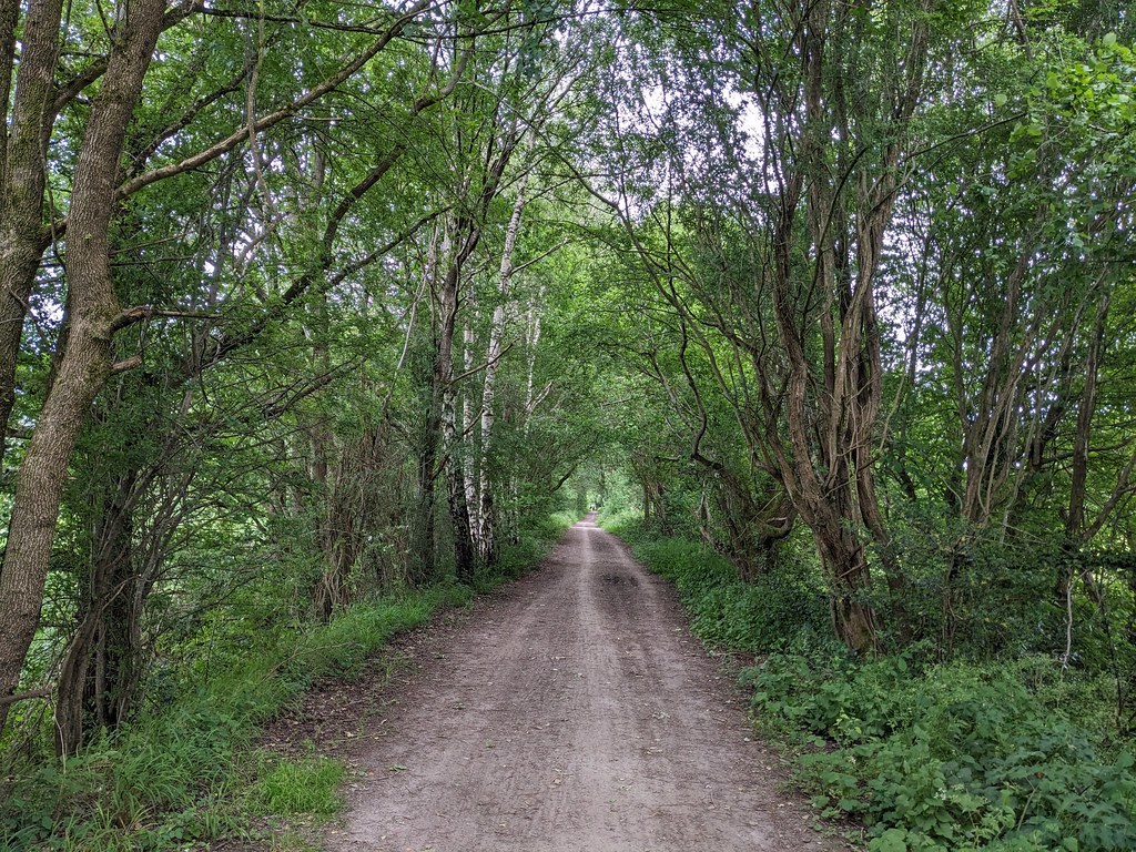 Forest Way path between Hartfield & Forest Row (22) Flickr