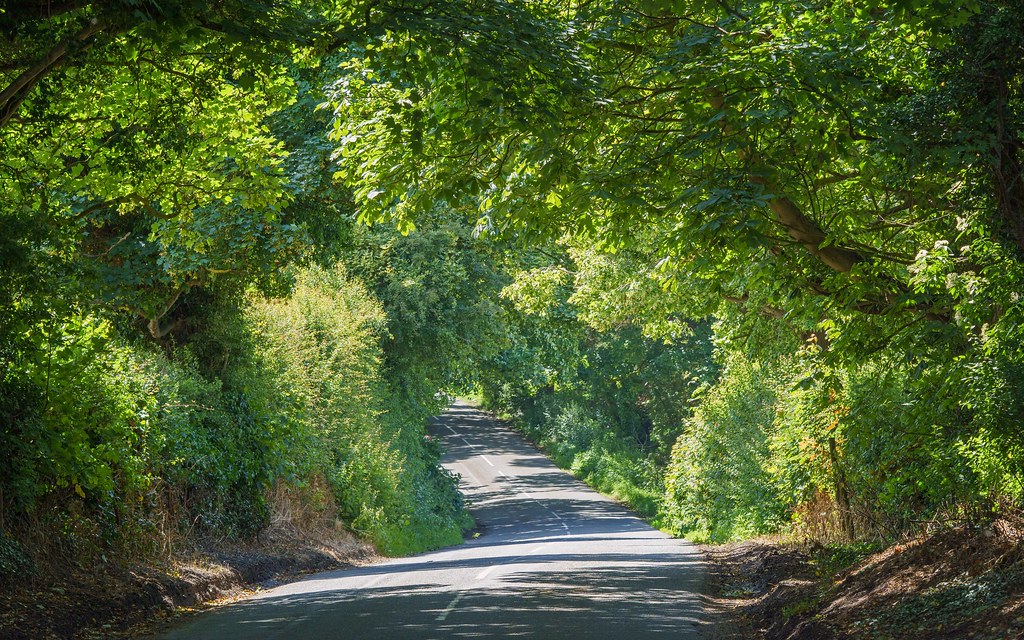 Country lane, LeabyBackford, Cheshire, UK, 2024. Flickr