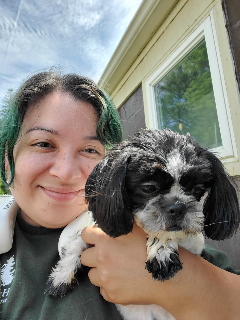 20240620_114407 Holiday House Pet Resort and Training Center Flickr