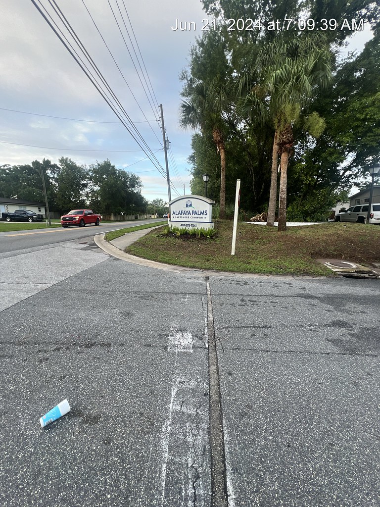 ALAFAYA PALMS (20) shane riggs Flickr