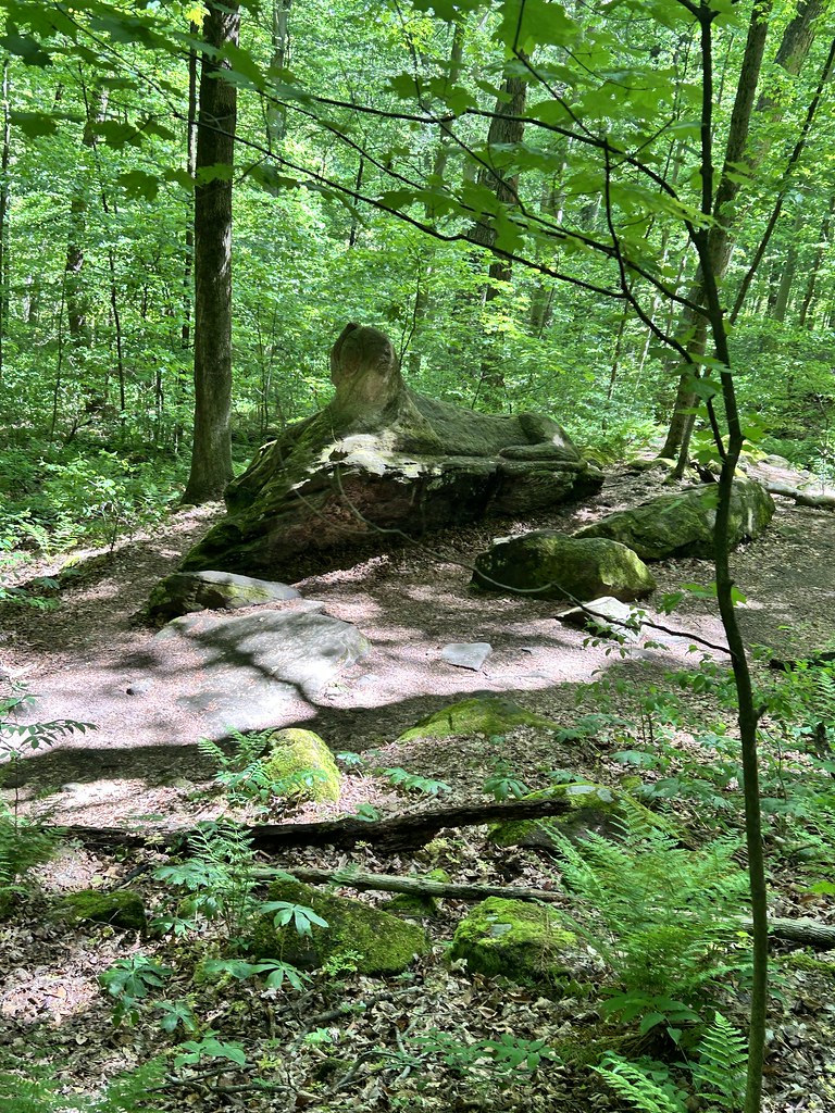 Wordens Ledges Photos I’ve taken at Worden’s Ledges Boo Williams