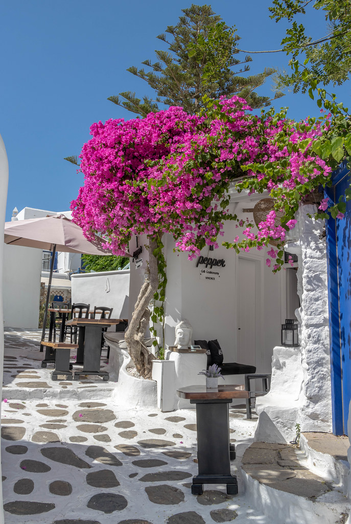 Make Us Famous Pepper Grill Gastronomy Mykonos Flickr