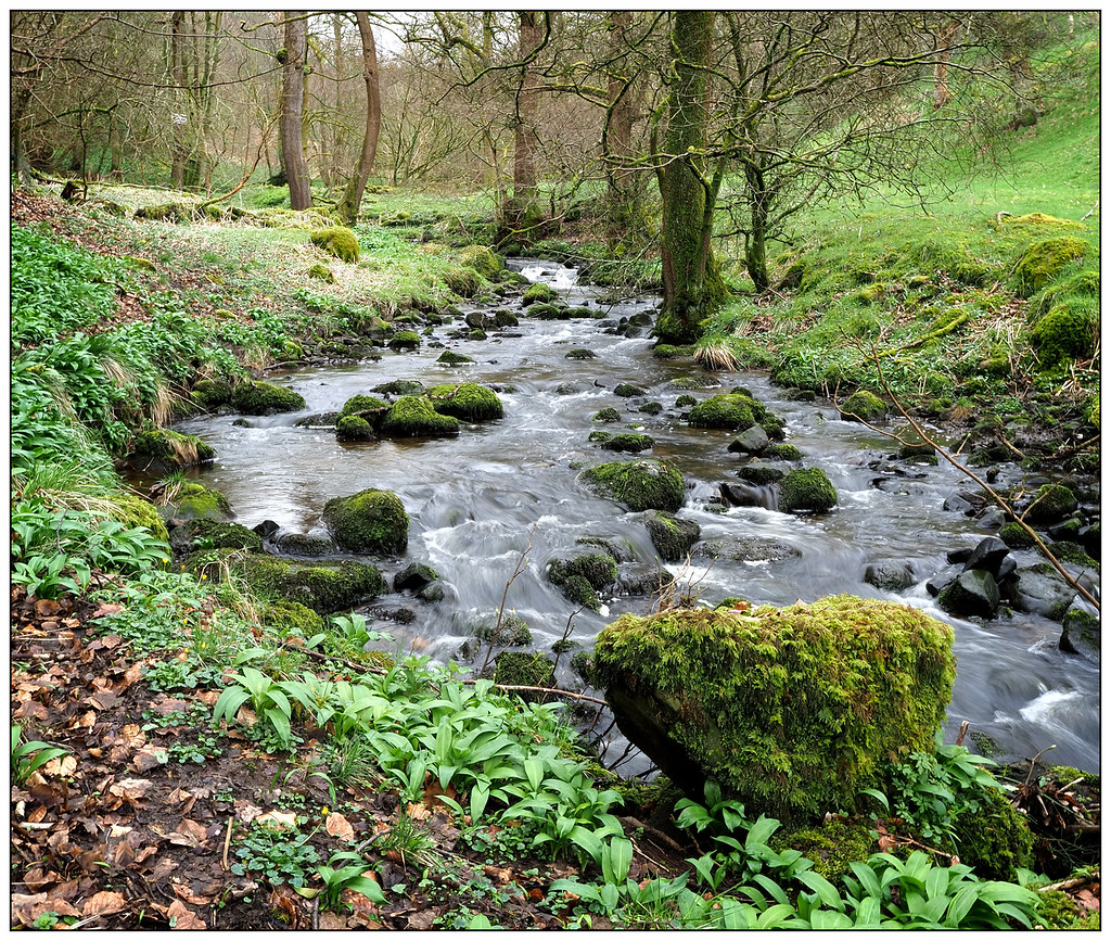 20240434 Great Harwood, Lancs. OLYMPUS DIGITAL CAMERA Flickr