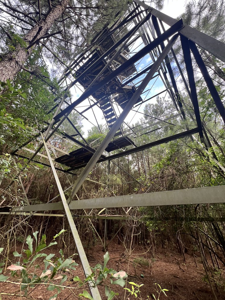 Smithdale Mississippi Flickr