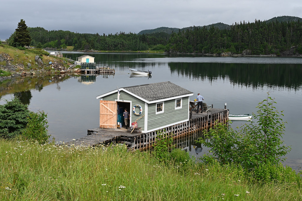 Harry's Harbour, Central Newfoundland Kevin Freake's stage… Stephen
