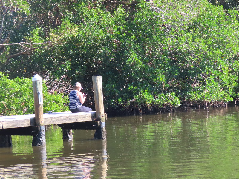 Photo Diary Coffee Pot Bayou, St Pete FL