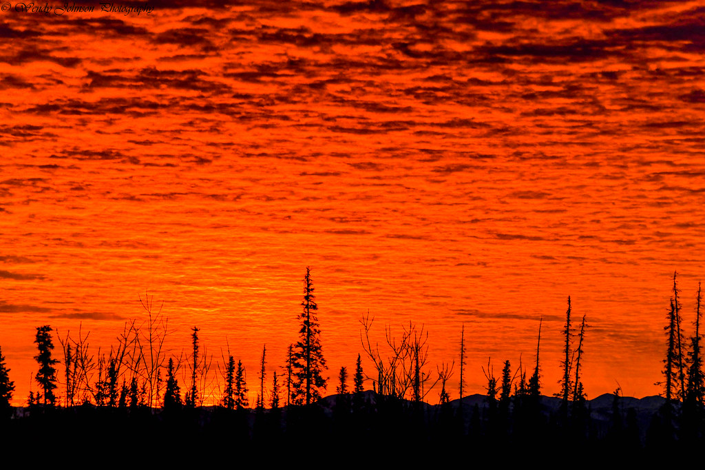 Winter Sunset I truly believe that every sunset is a breat… Flickr
