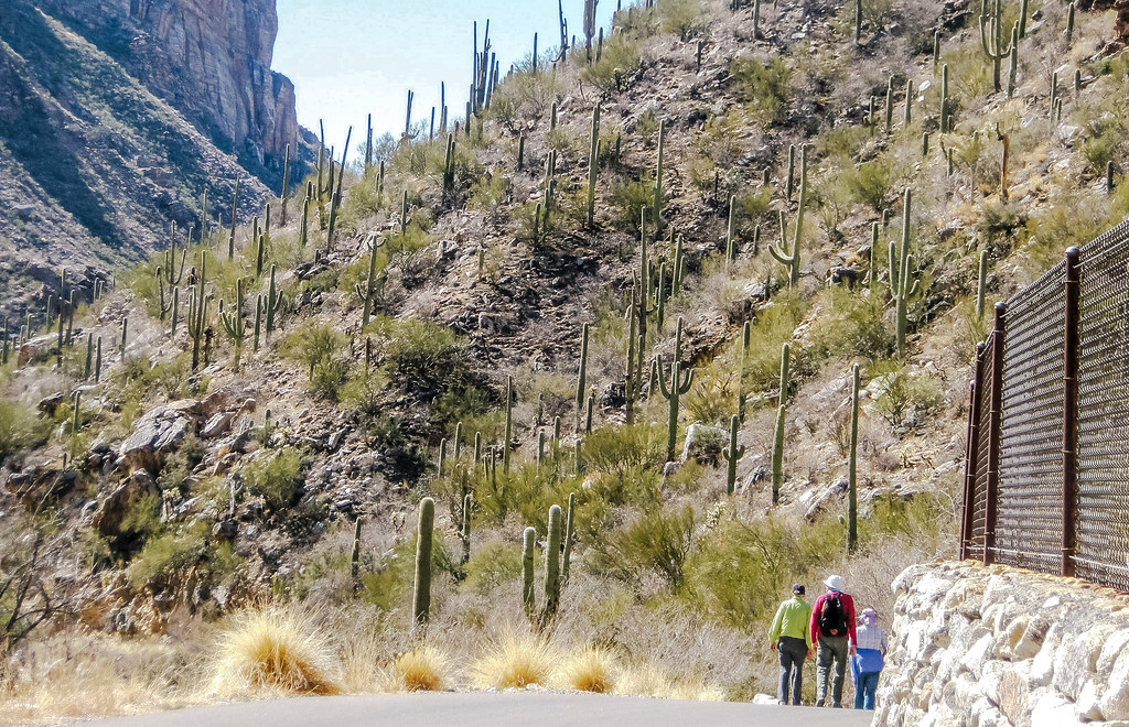 On the Sabino Canyon Road in Tucson, Arizona Leo Boudreau Flickr