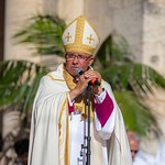 Ceremonia de apertura del Tribunal Eclesiástico Interdiocesano de Joinville / Carolina del Sur. 2 de junio de 2026.
