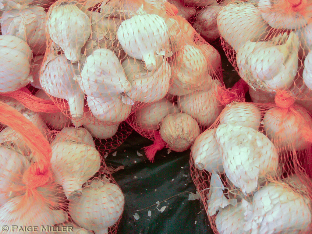 Fox Run Garlic Festival Paige Miller Flickr