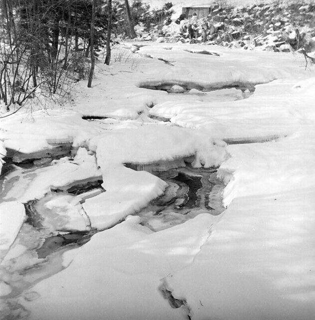 010559 06 new hampshire january 1959 after the ice storm p… Flickr