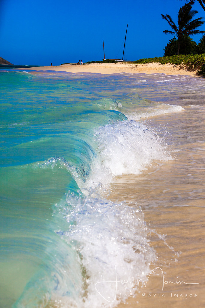 Along the beach in Lanikai (Oahu, Hawaii) Along the beach … Flickr