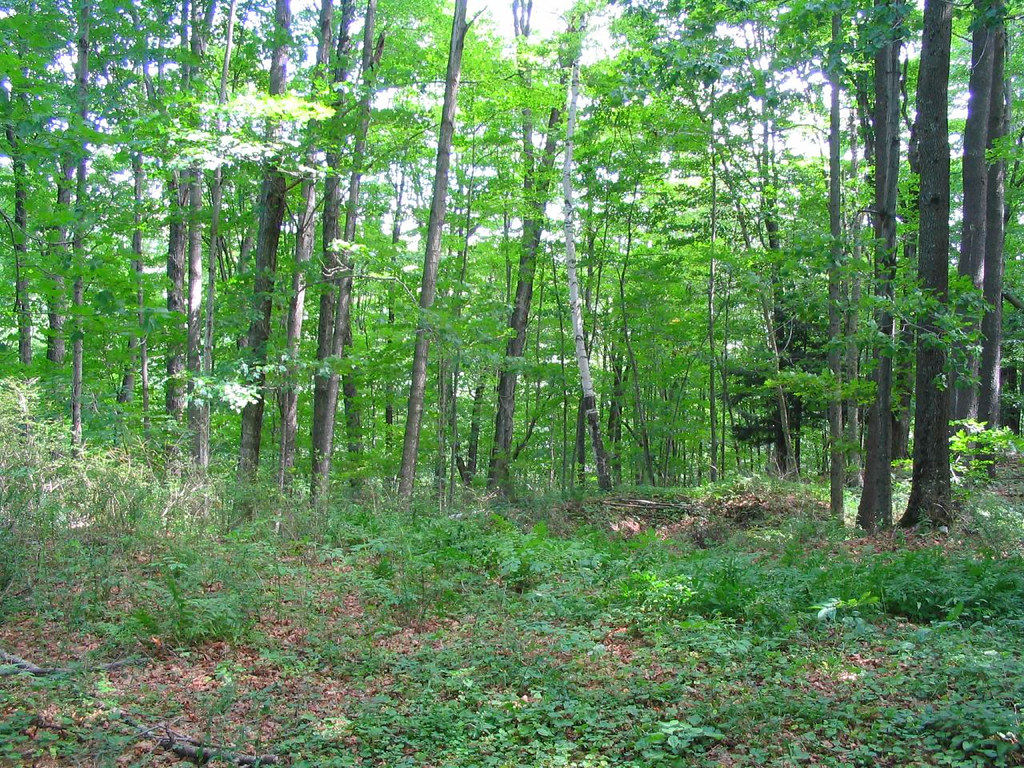 Joseph Smith Birthplace Memorial, Near Sharon, Vermont Flickr