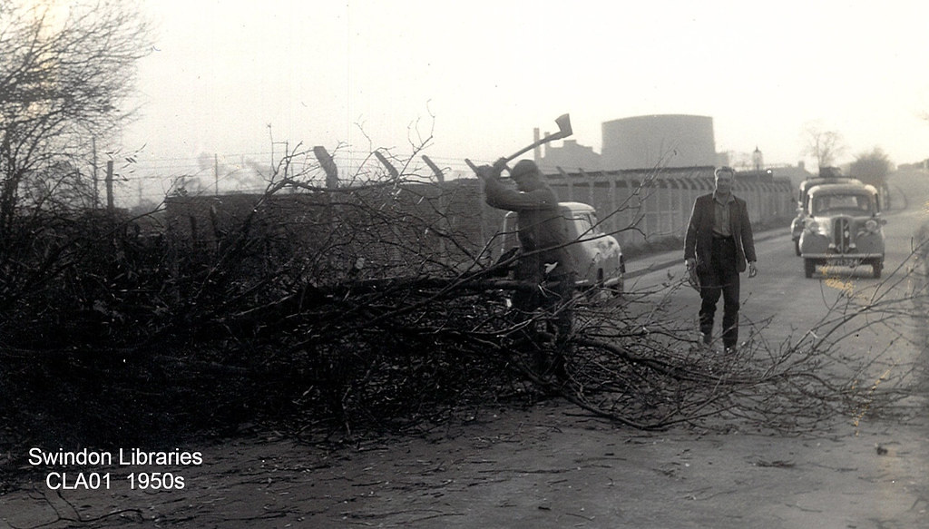 195457 Fallen tree at Bridge End Road, Swindon Source S… Flickr