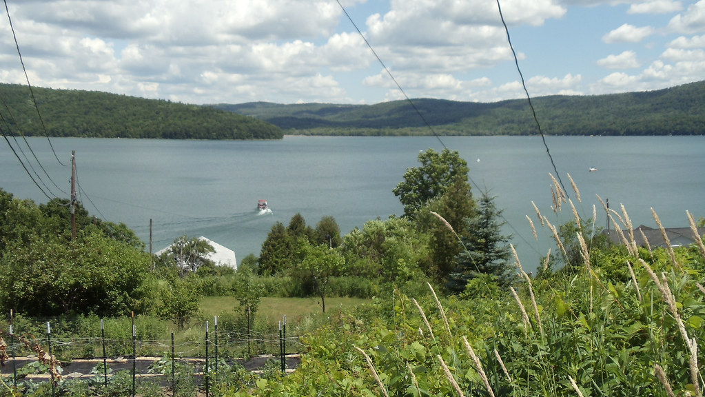 View of Sunken Island Otsego Lake, near Cooperstown, NY. Y… Flickr