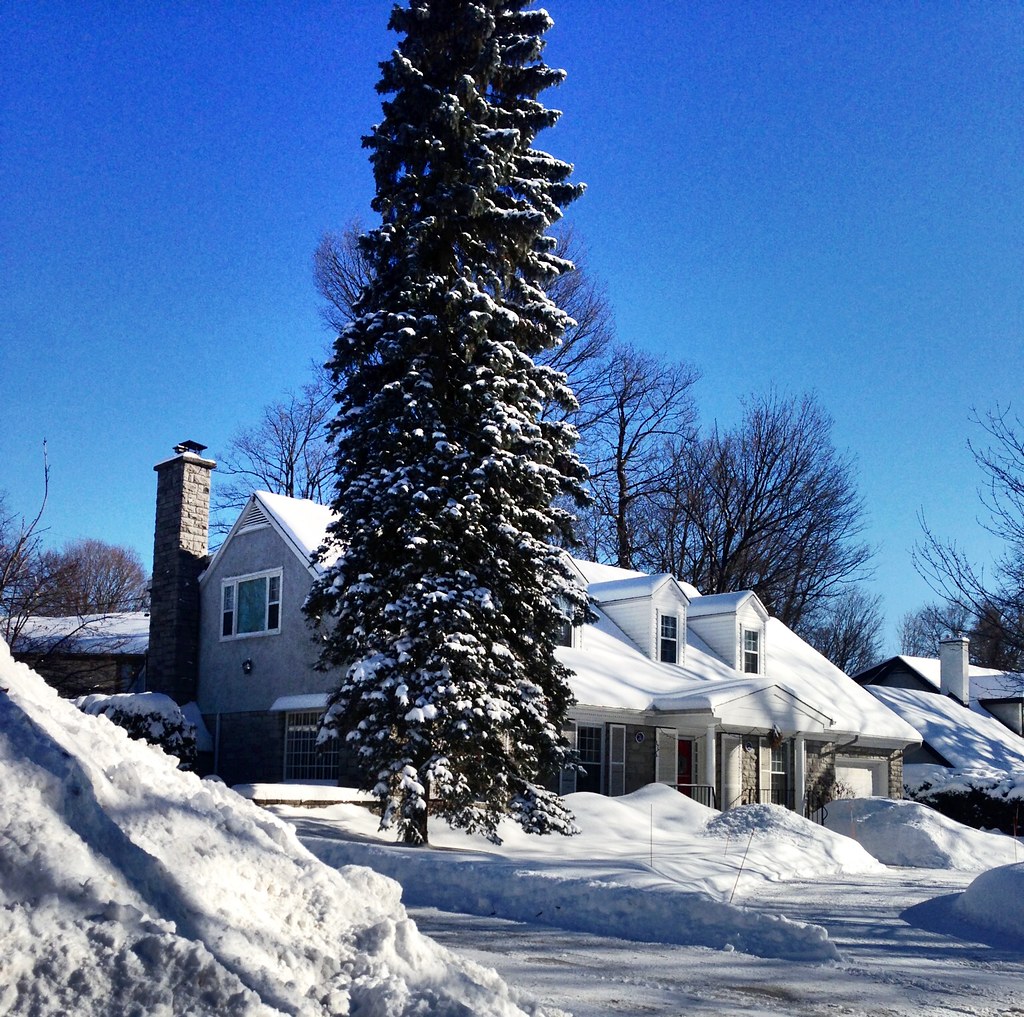 Manor Park, Ottawa The day after a major snowstorm Ross Dunn Flickr