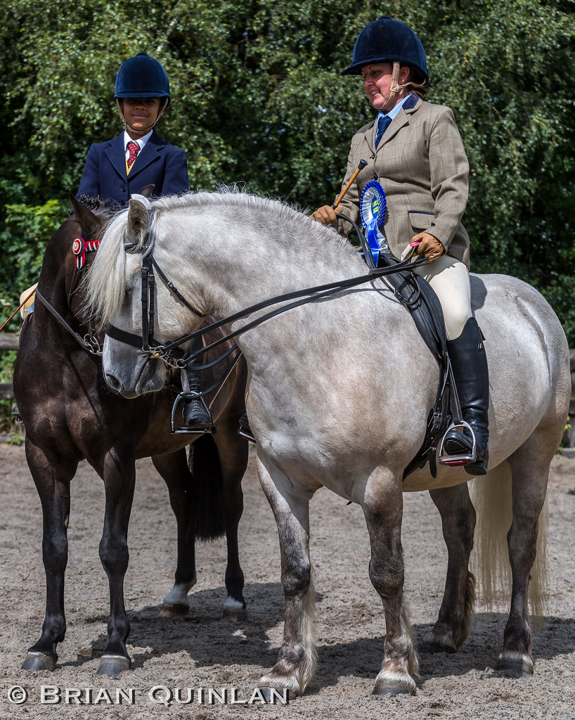 20150816BQ__0042.jpg Atherton Old Hall Farm Charity Fun S… Flickr