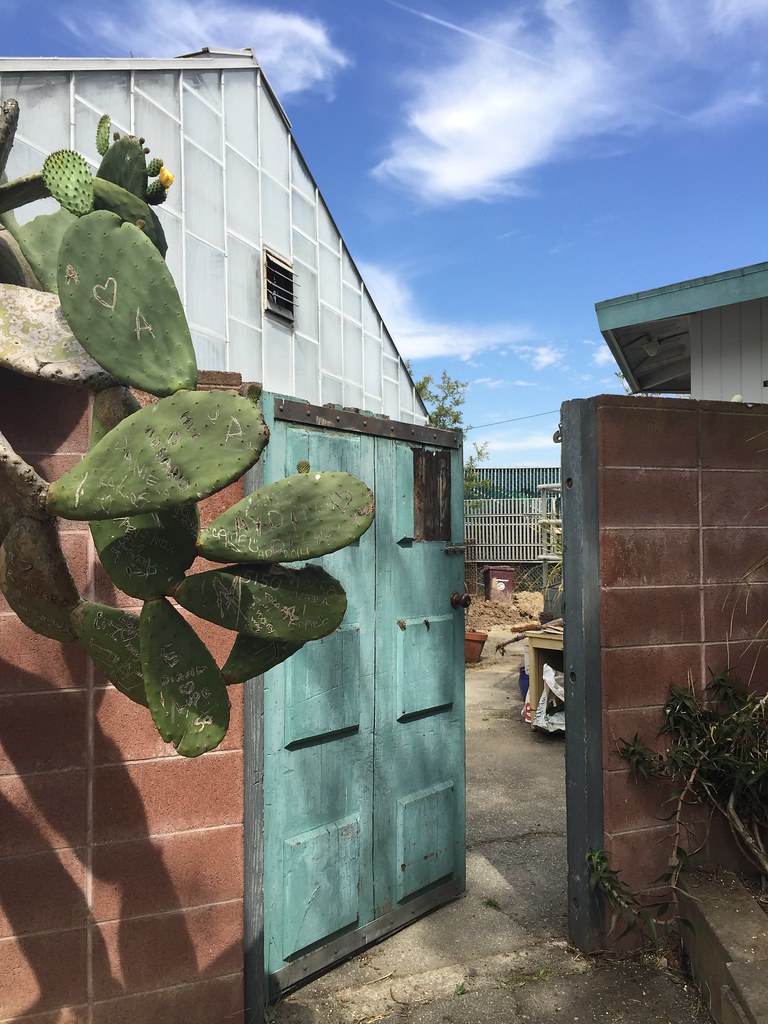 Nick's 31st birthday cactus garden door Tina Banda Flickr