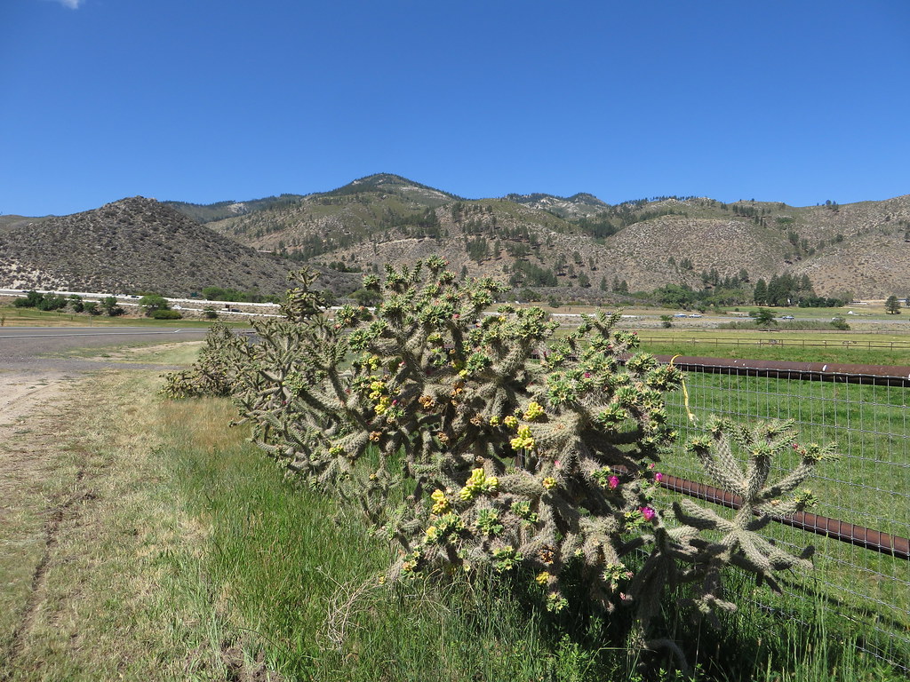 Washoe Valley, Nevada The Washoe Valley is a geographical … Flickr