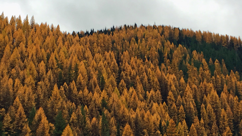 Elevation of Haugan, MT, USA Topographic Map Altitude Map