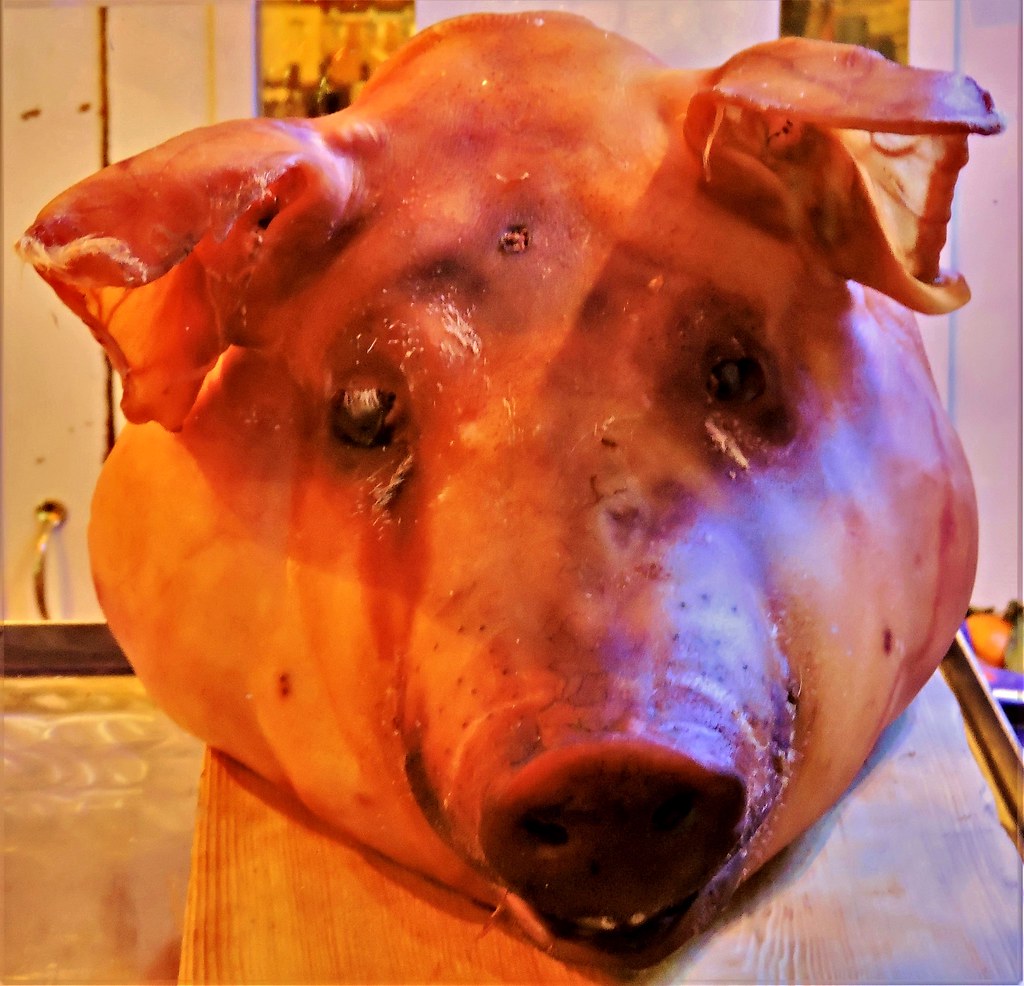 Pig's head Some butcher shop along Dundas St. in West Toro… Flickr
