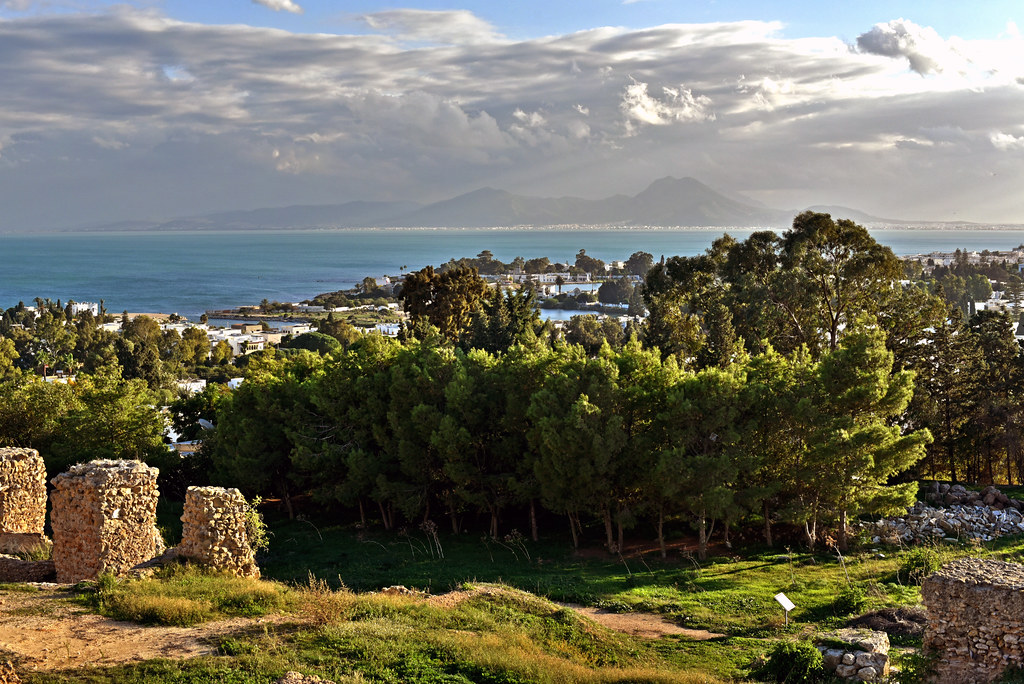 Carthage, Tunisia Carthage, Tunisia Stephen Downes Flickr