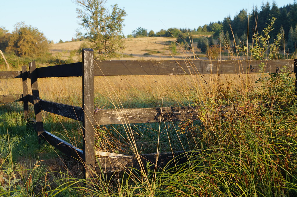 Helvetia, Oregon Dena Weigel Bell Flickr