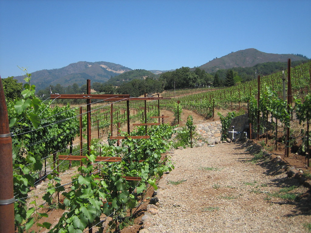 Kunde Estate Vineyards jstreit Flickr