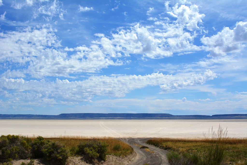 Alvord Desert While Steens Mountain looms to the west, the… Flickr
