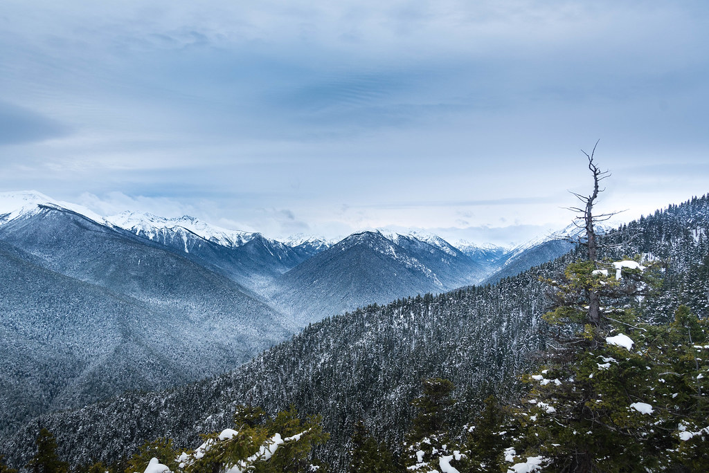 Olympic Mountains While snowshoeing in the Olympic Mountai… Flickr