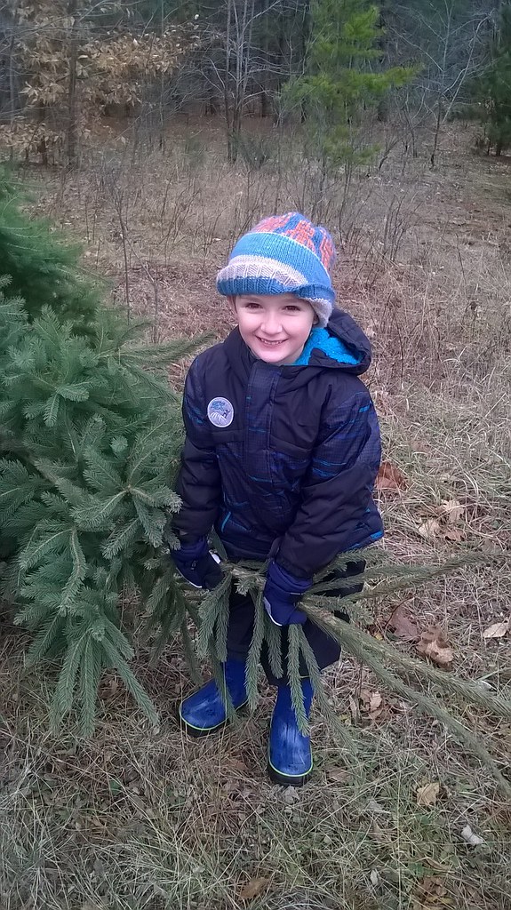 Christmas Tree Tags Families cutting Christmas Trees on th… Huron