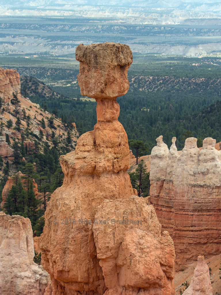 J77A8543 Thor's Hammer in Bryce Canyon, Utah, USA Flickr