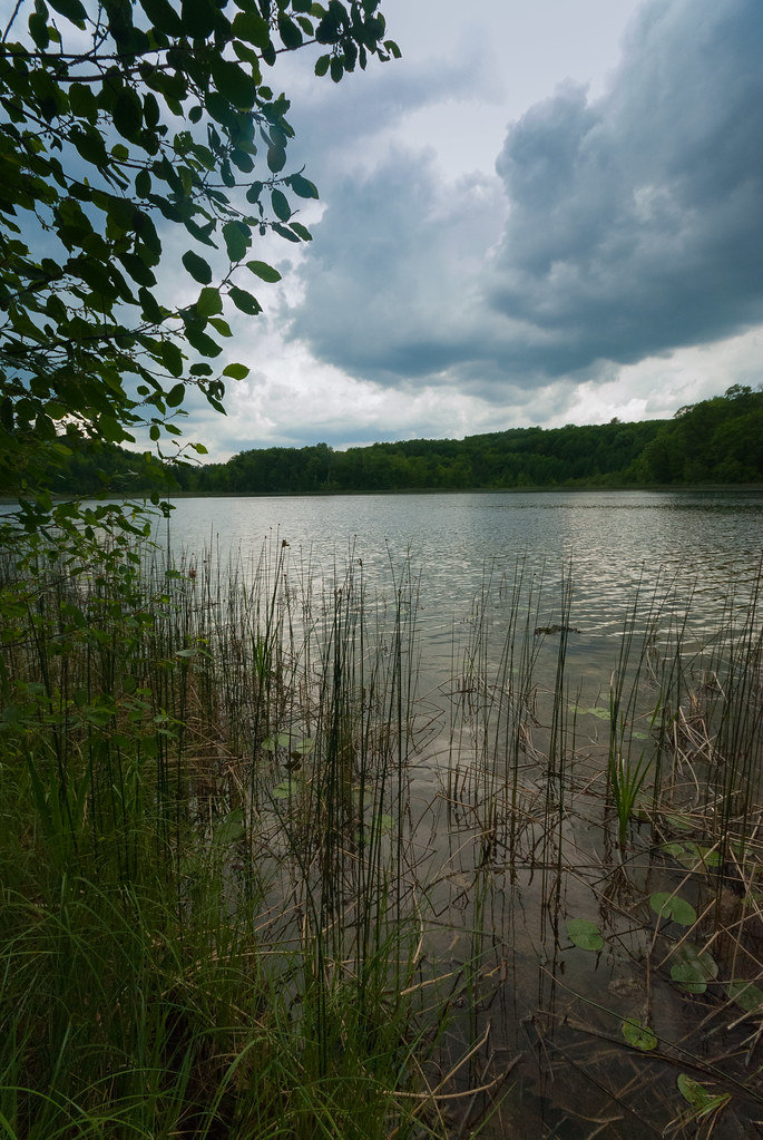 Skunk Lake Skunk & Foster Lakes Wisconsin State Natural Ar… Flickr