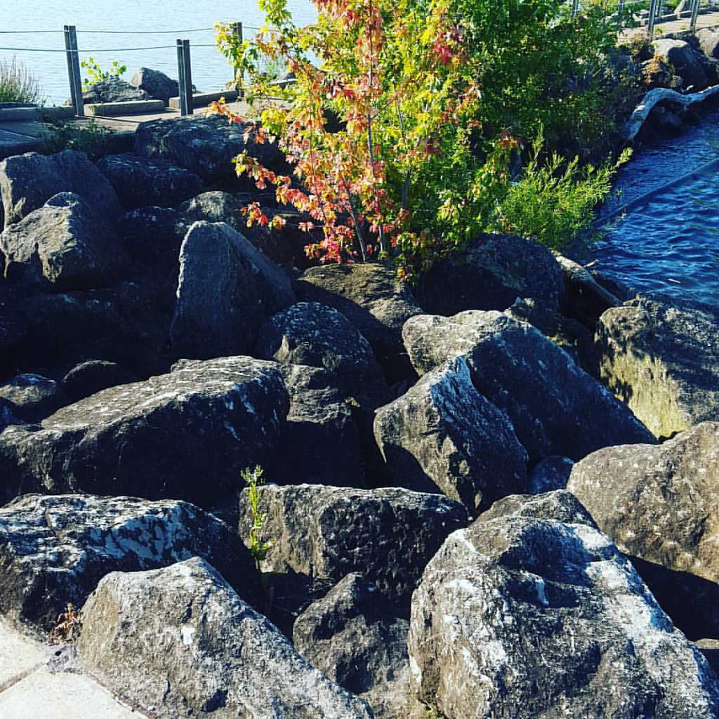 Mile Long Pier, Lorain, Oh... Enjoyed my walk and spending… Flickr