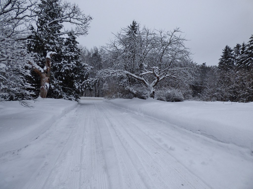 11017 snow storm Custer, WI, near Stevens Point David Hedquist