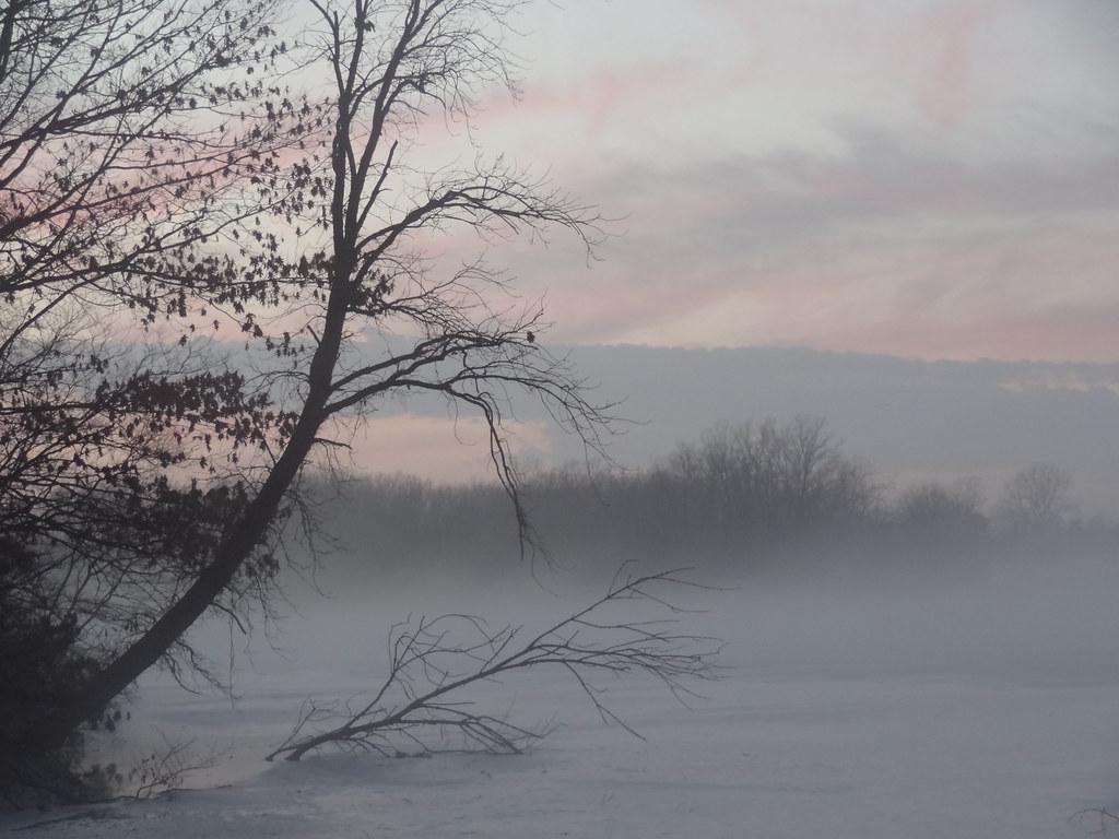Serendipity Beautiful surprise at Mott Lake, Genesee Count… Flickr