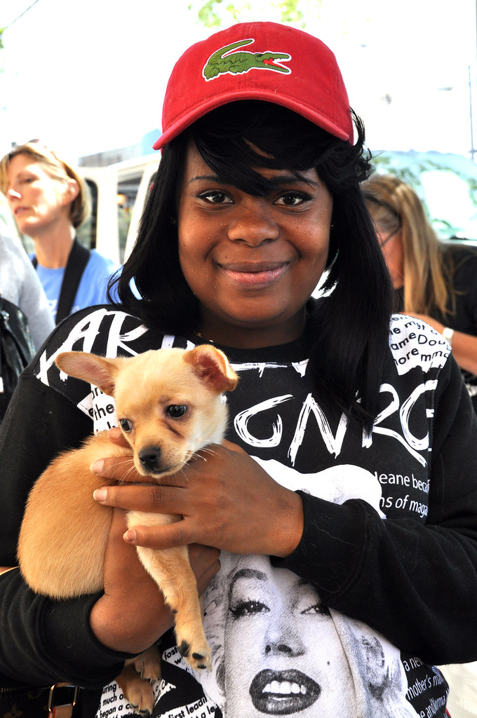 St. Francis Seraph Pet Vet Clinic Flickr