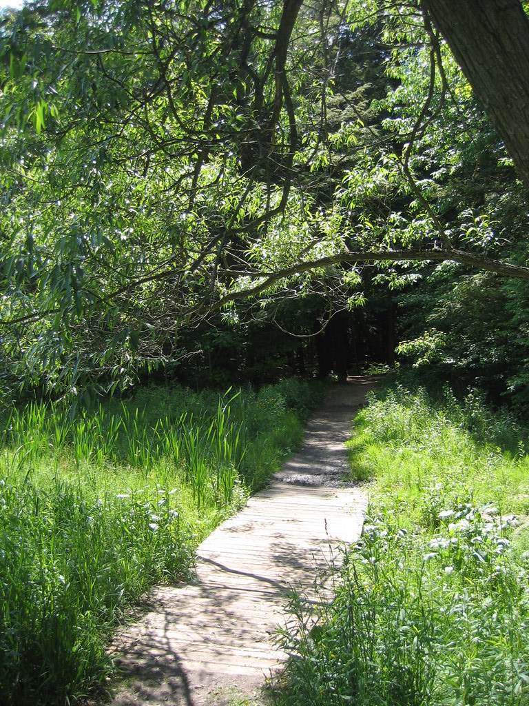 IMG_4733 Impressionen aus dem Homer Watson Park in Kitchen… Flickr