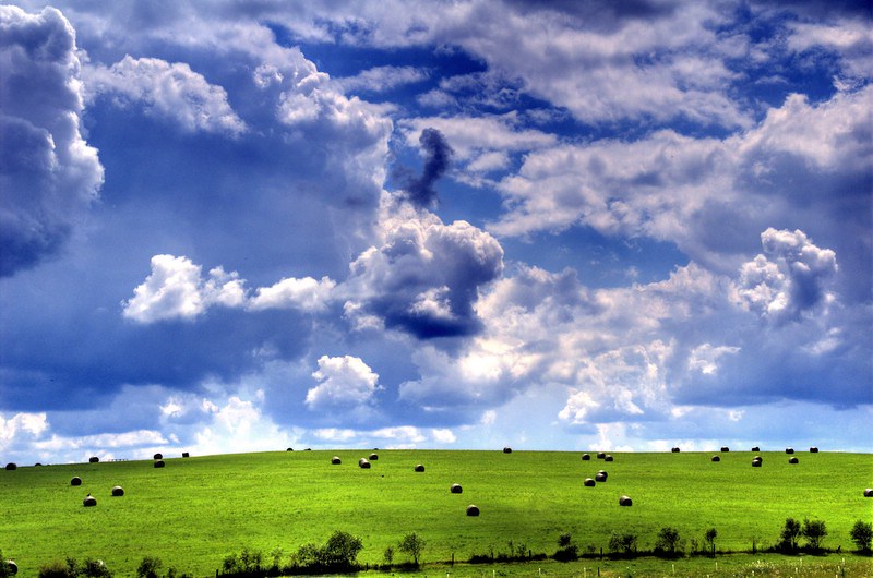 Elevation of Sebring Rd, Beaver, PA, USA Topographic Map Altitude Map