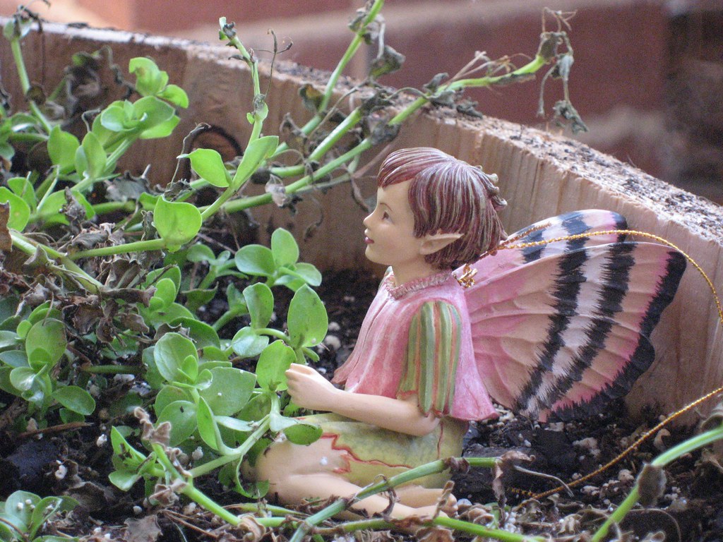 Fairy garden boy fairy This is a Cicely Mary Barker figu… Flickr