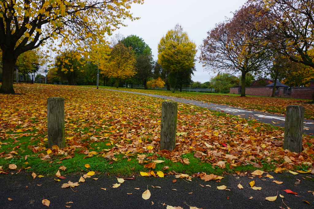 24 Oct 2015 Toton Park (9) A J Flickr